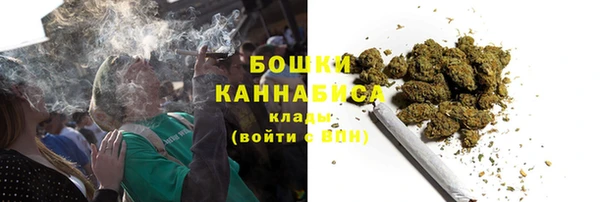 2c-b Горно-Алтайск