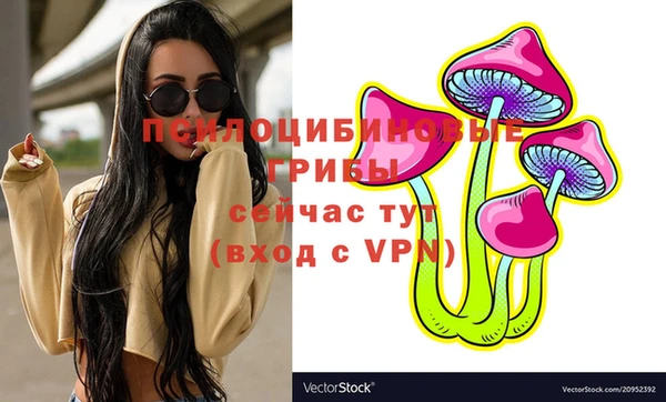 СК Вяземский