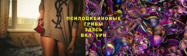 СК Вяземский